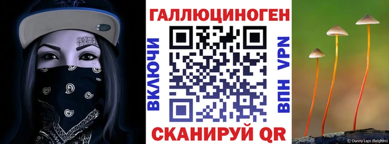 цены   Уржум  Псилоцибиновые грибы Psilocybine cubensis 